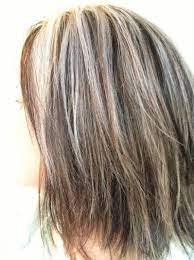Blending In Greys In Brown Hair Yahoo Search Results Gray Hair Highlights Blending Gray Hair Hair Highlights