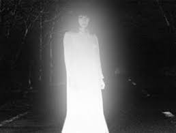 Au d�but du monde, le cr�ateur, que les indiens ab�nakis appellent tabaldak cr�a la terre et jusqu'� ce jour, l'oie blanche n'a pas encore manqu� � sa parole. La Dame Blanche De Trecesson Hante Toujours Broceliande Le Breizh Blog