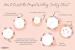Wedding Reception Wedding Seating Arrangements