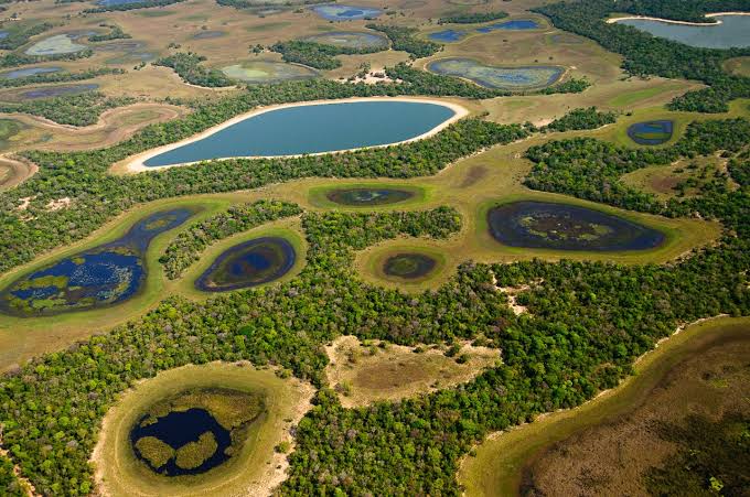 Fogo e calor batem recorde no Pantanal - #Colabora