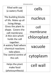 Need a quick assessment, review, or homework assignment? Lesson 1 Animal And Plant Cells Teaching Resources