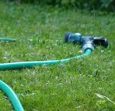 Use a garden hose and faucet. How To Drain A Garden Pond Fast Easy Methods Pond Informer