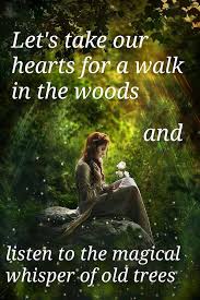 Lets Take Our Hearts For A Walk In The Woods And Listen To The Magical Whisper Of Old Trees Nature Quotes Fairy Quotes Words