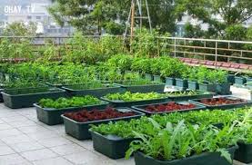 Tata halaman sempit memanjang di samping rumah dengan 7 inspirasi taman minimalis 1000 inspirasi teras halaman belakang desain kebun modern lansekap taman. Kebun Di Halaman Rumah Rumah Impian Minimalis Facebook