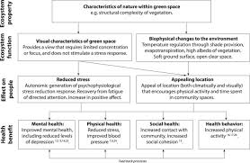 At least 150 minutes of moderate aerobic exercise like brisk walking or 75 minutes of rigorous exercise like running (or an equivalent mix of both) every week. Health Benefits From Nature Experiences Depend On Dose Scientific Reports