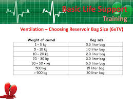 Wendy Blount Dvm Cpr Update Recover Ppt Video Online