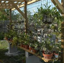 Diy Cheap Orchid Shade House Google Search Orchid House Diy Orchids Shade House