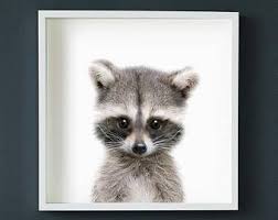 Raccoon Print Woodland Animals Printable Art Nursery Decor Animal Art Baby Animals Nursery Wall A Baby Animal Printables Baby Animal Prints Printable Art
