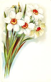 Daffodils In 2020 Flower Art Clip Art Vintage Floral Art