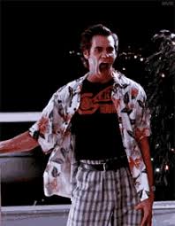 Use the ace ventura gifs on facebook with the share button. Ventura Gifs Tenor