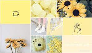 Aesthetic Yellow Collage Yellow Flowers Yellow Pictures Aesthetic Sunflowers Wallpaper Yellow Aesthetic Yellow Wallpaper Aesthetic Computer Backgrounds