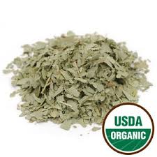 Cut flowers, no plants · environmentally friendly · free shipping Eucalyptus Leaf Starwest Botanicals