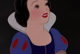 Image result for Disa stairsii