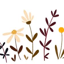 Blumenwiese Wild Flowers Illustration By Lotta Langrock Blumenzeichnung Blumen Kunst Wie Man Blumen Malt