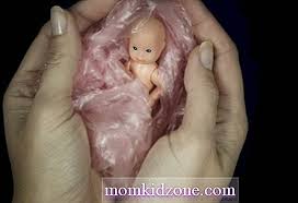 Bila anda sedang mengandung akan tetapi ada niat untuk tidak bisa melanjut kan nya di karna kan ada faktor tertentu dan anda sedang mencari cara menggugurkan kandungan pada usia muda, yang nanti nya tidak membebani anda atau menambah masalah. 20 Mudah Cara Berkesan Pengguguran Kehamilan 2021