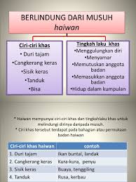 Contohnya musang artik dan sesumpah. Berlindung Dr Musuh T5