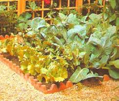 We're pinning garden layout ideas and garden design tips for both large and small gardens. Raised Garden Design Vegetable Bed Design Raised Bed Design And Garden Layout