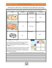 Punnett square worksheet 2 answers. Kami Export Monohybrid Cross Video Questions Pdf Amoeba Sisters Video Recap Monohybrid Crosses Mendelian Amoeba Sisters Video Recap Monohybrid Course Hero