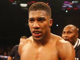 Anthony Joshua lines up Luis Ortiz after Eric Molina and Wladimir Klitschko  bouts