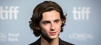 How To Get Timothée Chalamet's Glorious Hair