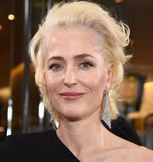 Gillian anderson filmography including movies from released projects, in theatres, in production and upcoming films. Gillian Anderson Wiki Age Net Worth Boyfriend Family Biography More Thewikifeed