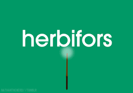 The Standard Book Of Spells Herbifors Her Bee Forz This Transfiguration Spell Makes Ye Wizarding World Of Harry Potter Pottermore Harry Potter Fantastic Beasts