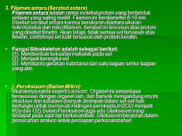 Masukan kedalam tong dan tambahkan air, untuk campurannya 2 bagian. The Art Special 10 Bagian Darah Yang Cair Yang Tersusun Atas Protein Air Dan Bahan Organik Adalah Soal Uas Ganjil Biologi Kls Xi Contoh Benda Padat Adalah Batu Besi Kertas