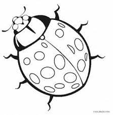 Download free realistic insect coloring pages picture. Realistic Ladybug Coloring Pages Ladybug Coloring Page Bug Coloring Pages Insect Coloring Pages