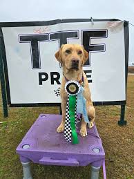 Thank yall for putting up with my chaotic crew today! Sorry in advance but  i'll have all four with me