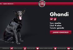 Búlgaro, checo, chino, danés, eslovaco, esloveno, estonio, finés, griego, húngaro, italiano, japonés, letón, lituano. Noticias Sobre Dia Del Amigo El Comercio Peru