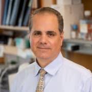 Serendipity in action