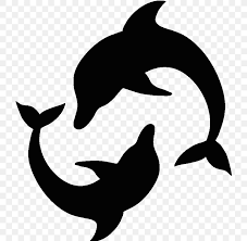 We did not find results for: Dolphin Silhouette Sticker Clip Art Png 800x800px Dolphin Adhesive Artwork Beak Black And White Download Free
