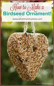 How To Make A Bird Seed Ornament Bird Seed Ornaments Bird Seed Ornaments Recipe Bird Seed Crafts