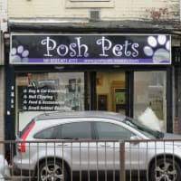 Get directions, reviews and information for posh pets in corpus christi, tx. Posh Pets Birmingham Dog Cat Grooming Yell