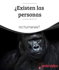 280 ideas de Screenshots | peinados poco cabello, noticias animales,  trenzas en coleta