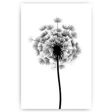 Check spelling or type a new query. Paardenbloem Close Up Met Druppels Sfeer Aan De Muur