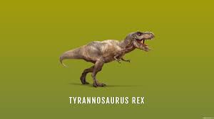 T Rex Wallpapers Posted By Sarah Tremblay Find the best wallpaper t rex on getwallpapers. t rex wallpapers posted by sarah tremblay