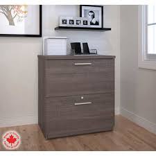 Maybe you would like to learn more about one of these? 2 Drawer File Cabinets Costco
