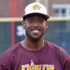 Professional Travel Baseball Coaches