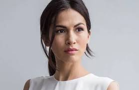 FOX Development Board