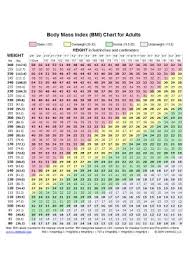 Traditionally the bmi chart for women is linear, however, this model is not an ideal or a true representation of the changes in a healthy weight for women according to age. 20 Sample Bmi Chart Templates In Pdf Ms Word Excel