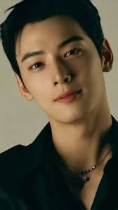 100 Cha eun woo ideas