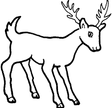 Video game`s digital cg artwork, concept illustration, realistic cartoon style scene. Deer Coloring Page Simple Drawing Of Wild Animals 700x676 Png Clipart Download