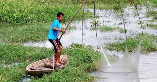 Saya bisanya nangkap ikan pake tangan kalau sudah d masak mantap kang lengket tangan na. Menangkap Ikan Cara Tradisional Ikan Dan Laut