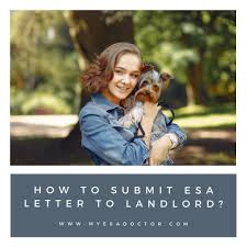 Esa Letter Online Emotional Support Animal Esa Doctor In 2020 Emotional Support Animal Support Animal Emotional Support