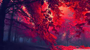 Check spelling or type a new query. Red Aesthetic Scenic Wallpapers Top Free Red Aesthetic Scenic Backgrounds Wallpaperaccess