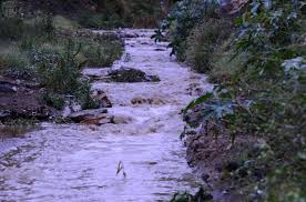 آخبآر متجدده من الصحف اليومــيه الأرشيف الصفحة 6 منتدى مدينة تمير