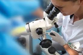 Healthcare products & solutions (microscope solutions). Labomed Microscopes Manufacturers Suppliers Labo America Inc