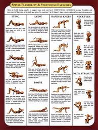 Arm Exercises For Women With No Weights Both Stretching Is More For Getting Ready For Vigorous Activity Workout Chart Health Fitness Physical Therapy