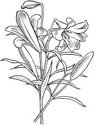 Coloring pages of lily, chamki, and zuzu playing pretend wit go > country flag coloring pages. Lily Coloring Pages Best Coloring Pages For Kids